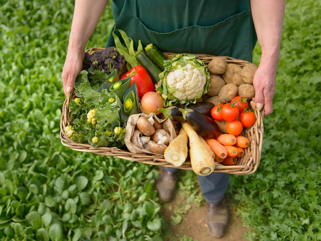 Regulatory-Updates-In-Europe-U.S.-Spell-Major-Boost-For-Organic-Agriculture