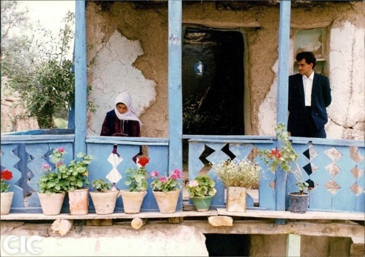 زیر درختان زیتون