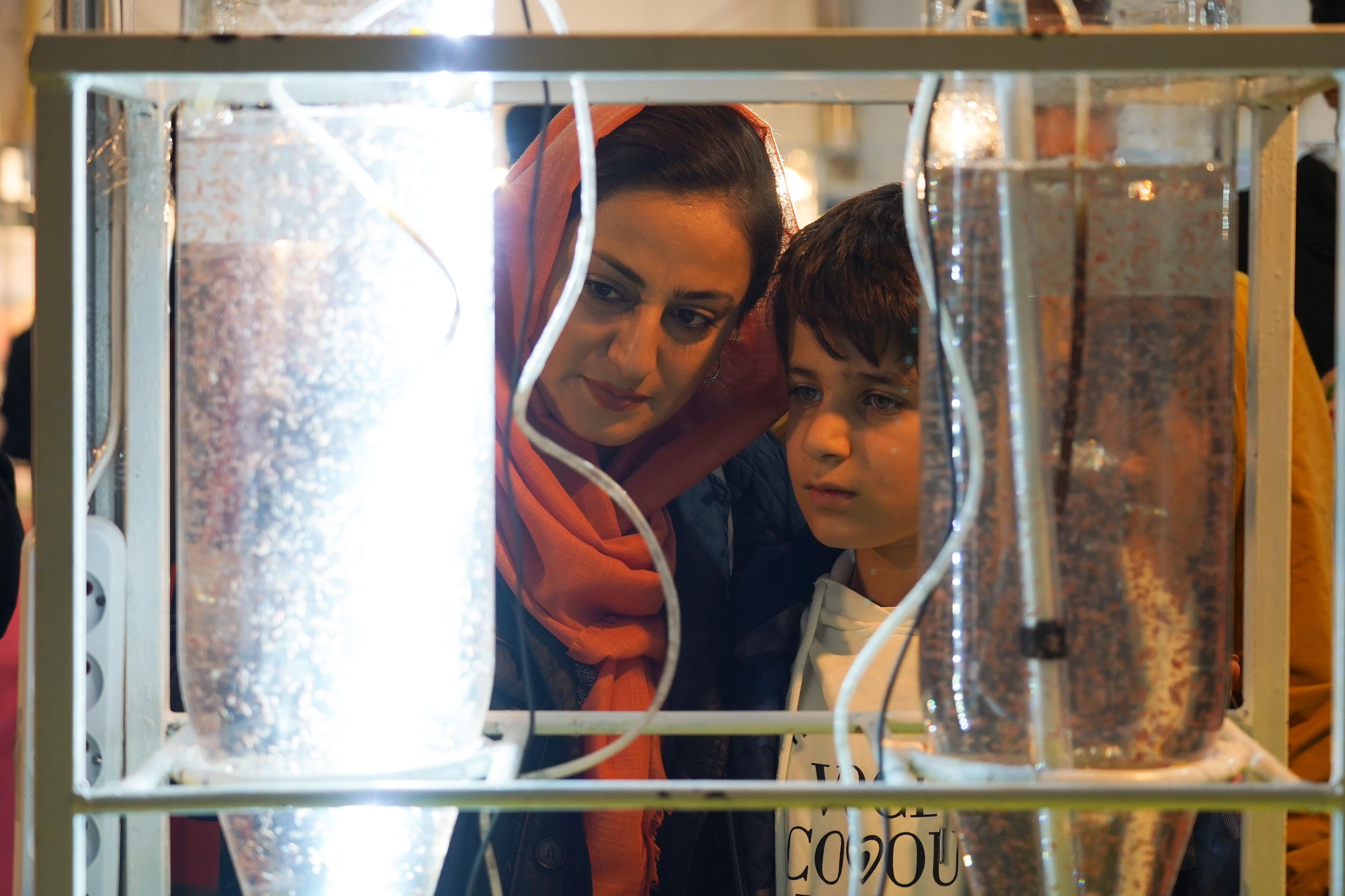 b2b38a51-df62-423e-9339-9cc804b1ce6d