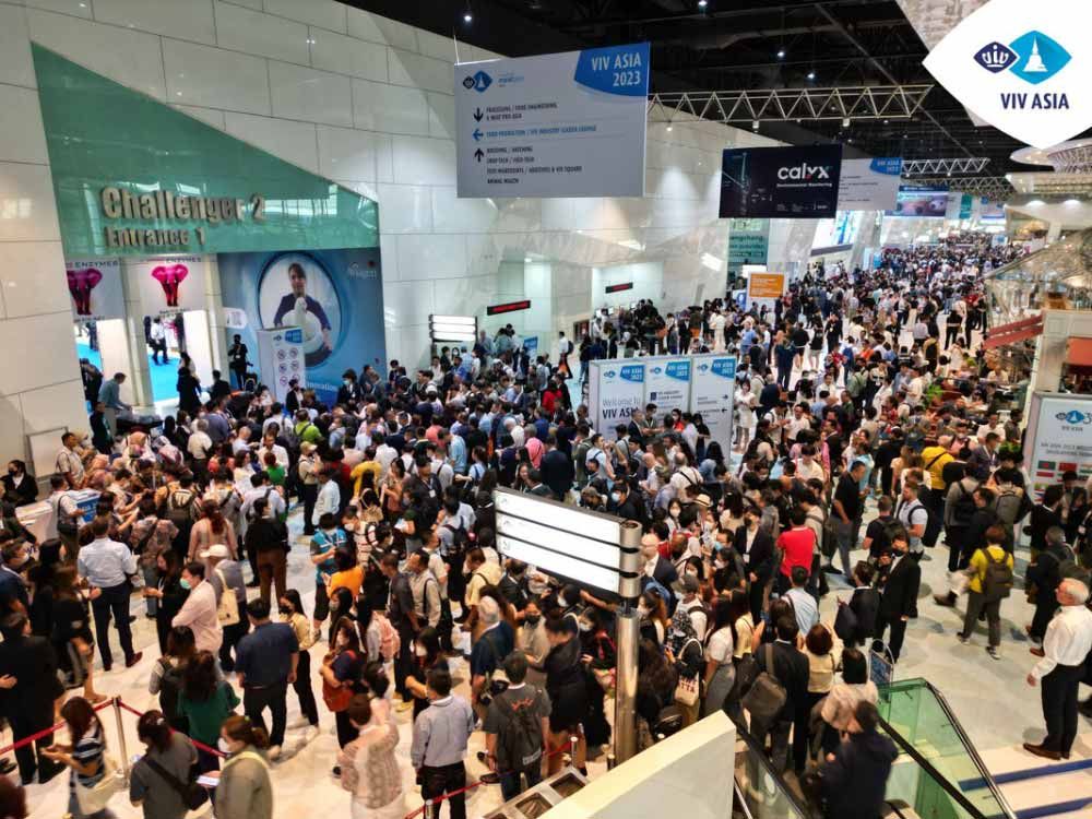 VIV_Asia_2025_6369061888