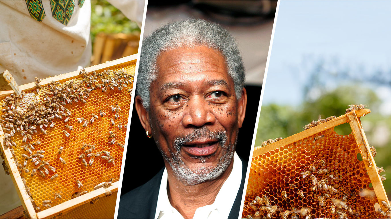 Morgan-Freeman-Feature
