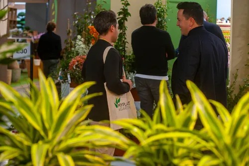 filters_quality(80)_format(webp) (6)_6_11zon