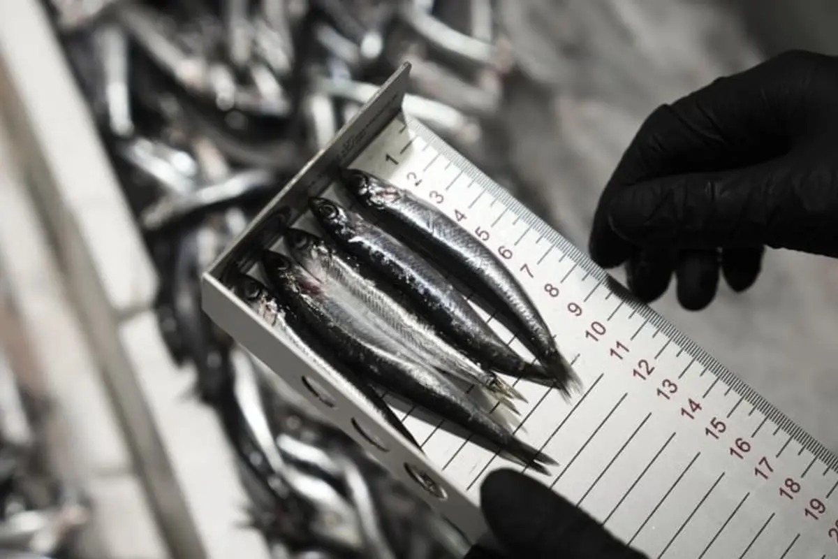 ypftxzfyzetwleaqriiu_11zon