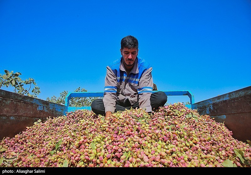 1404070916314791034202174