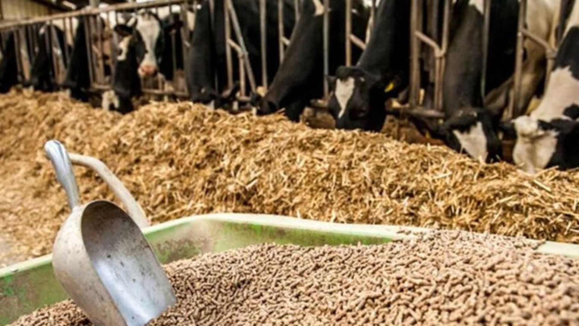 13990902000162_Test_PhotoN-b5c13413