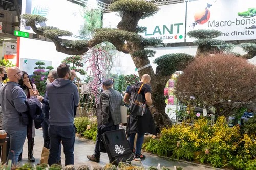 filters_quality(80)_format(webp) (3)_3_11zon