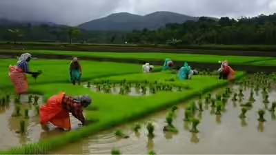 representative-image_11zon