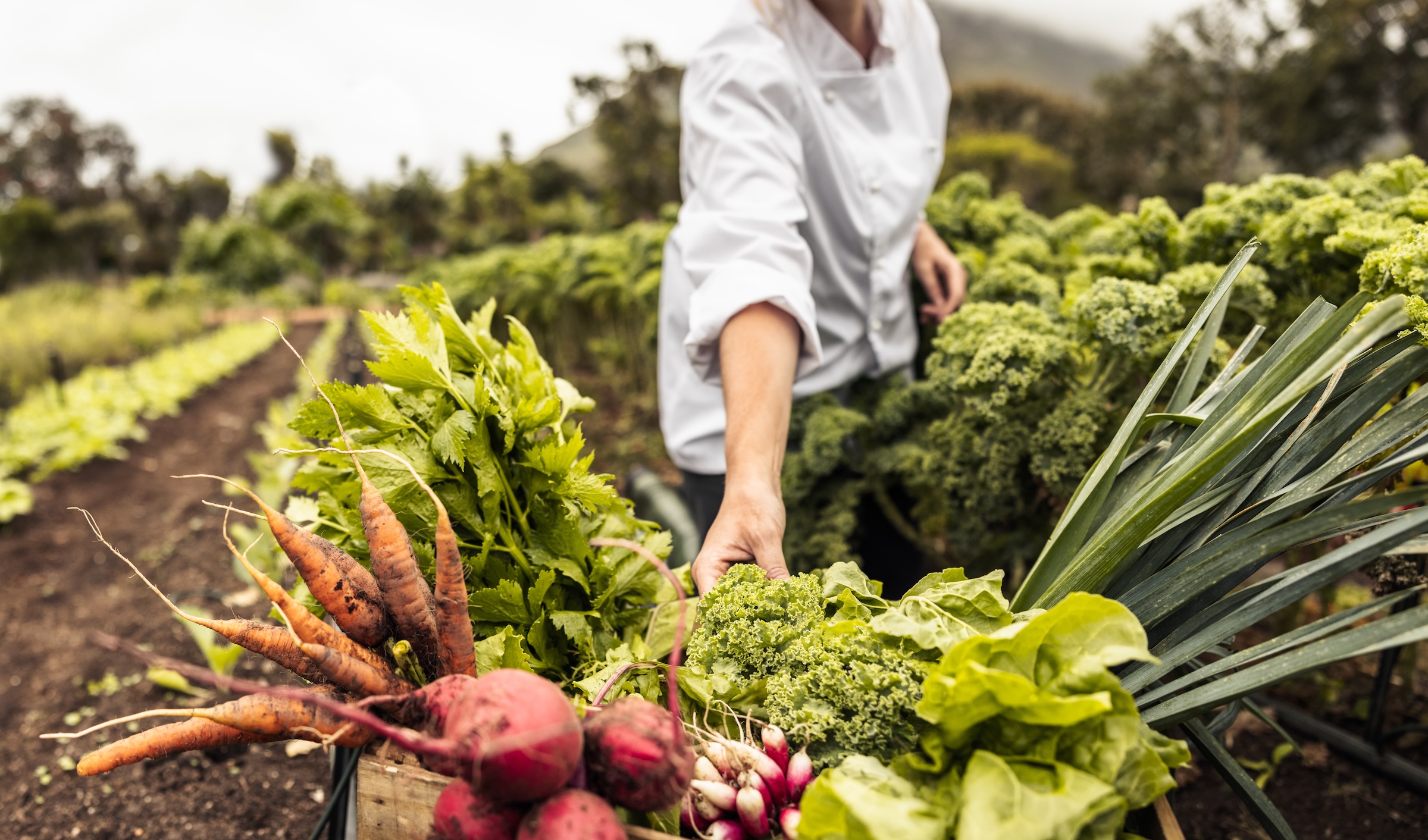 WY Organic Farming AdobeStock