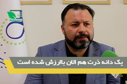 یک دانه ذرت هم الان باارزش شده است