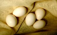 سایه بحران بر صنعت مرغ تخم‌گذار/۱۱ درخواست فوری برای نجات صنعت تخم‌مرغ
