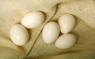 سایه بحران بر صنعت مرغ تخم‌گذار/۱۱ درخواست فوری برای نجات صنعت تخم‌مرغ