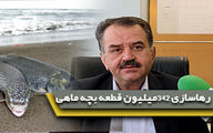 رشد 106 درصدی رهاسازی ماهی در دریای خزر