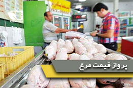 پرواز قیمت مرغ