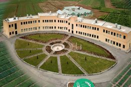  ۱۰ بذر جدید محصولات دیم هفته آینده ارائه می‌شود