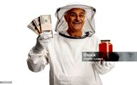 اجرای نخستین پروژه ملی کشاورزی قراردادی در صنعت زنبورداری ایران