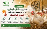  مدیریت تنش گرمایی در واحدهای پرورش طیور ضروری است