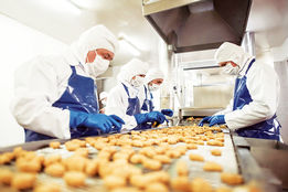 انسان، ریشه بهره‌وری؛ تقدیر از قلب تپنده سازمان‌های کشاورزی و صنایع غذایی