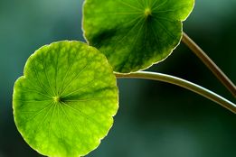 همه‌چیز درباره یک دیدار غافلگیرانه و لذت آشپزی!