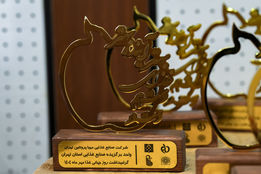 تندیس برند برتر صنایع غذایی کشور به مهیا پروتئین رسید