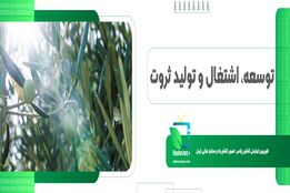 توسعه اشتغال و تولید ثروت ماحصل واگذاری زمین به تعاونی های کشاورزی 