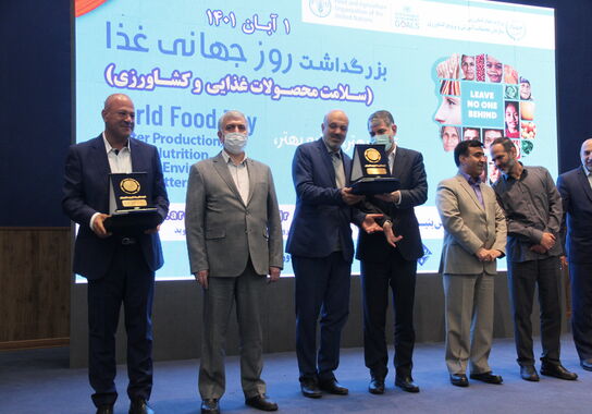 گالری