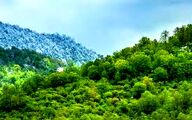 بیانیه‌ی آماده باش یگان حفاظت منابع طبیعی کشور برای مقابله با حریق‌های احتمالی