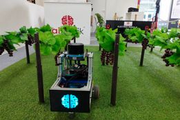 مکانیزاسیون باغبانی؛ از حرف تا عمل!؟/تحلیل سخنان معاون وزیر جهاد کشاورزی