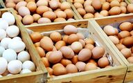 ۱۹۰۰ تن گوشت مرغ منجمد از فردا در استان تهران توزیع می شود