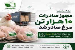 مجوز صادرات ماهانه ۱۰ هزار تن گوشت مرغ صادر شد
