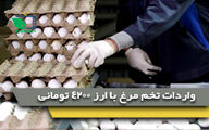 واردادت تخم مرغ با ارز4200 تومانی