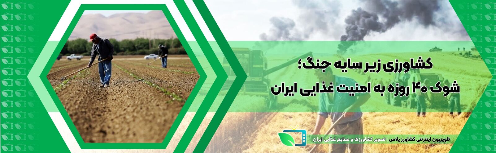 کشاورزی زیر سایه جنگ؛ شوک ۴۰ روزه به امنیت غذایی ایران