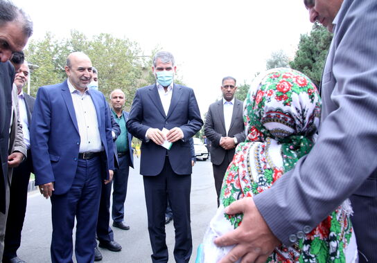 گالری