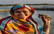 زمین، زن، زندگی؛ ۲۰۲۶ سالی برای دیده‌شدن ستون پنهان کشاورزی جهان