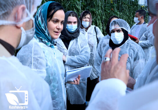 گالری