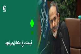 قیمت مرغ متعادل می شود 