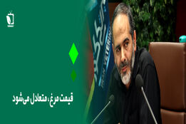 قیمت مرغ متعادل می شود 