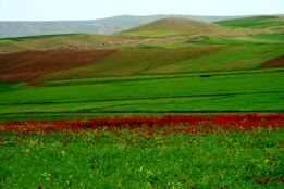  دشت مُغان  