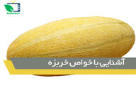 آشنایی با خواص خربزه
