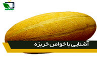 آشنایی با خواص خربزه
