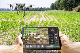 هوش مصنوعی، بلاک‌چین و پهپادها در یک انقلاب AgriTech