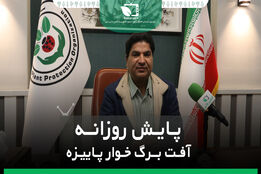 پایش روزانه آفت برگ پاییزه