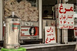 قیمت گوشت مرغ در سال 1393/ در تقویم تاریخ