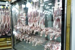 نوسانات ارزی سبب افزایش قیمت گوشت گوساله در تهران شد است