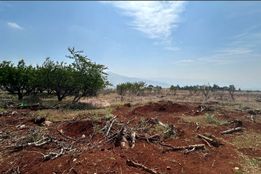 جنگ، خشکسالی و آوارگی؛ امنیت غذایی لبنان در خطر جدی