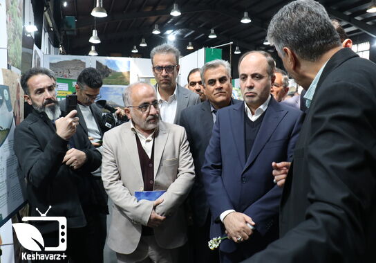 گالری