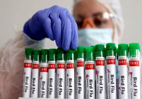 اطلاعیه رسمی دربارهٔ شیوع آنفلوآنزای پرندگان در ایران از نوع H5N1