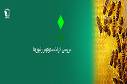 بررسی اثرات سموم بر روی زنبورها