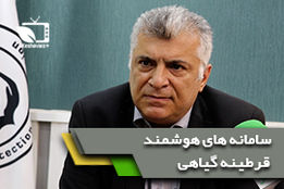 کنترل 3 محصول صادراتی پیاز، سیب زمینی و گوجه فرنگی از مزرعه