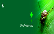 ردیابی و پایش مگس جالیز