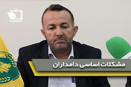 بازارگاه عامل اصلی کمبود خوراک دام است